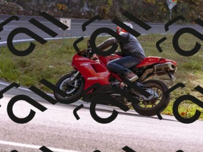 202510191159-_DSC1875_d1_