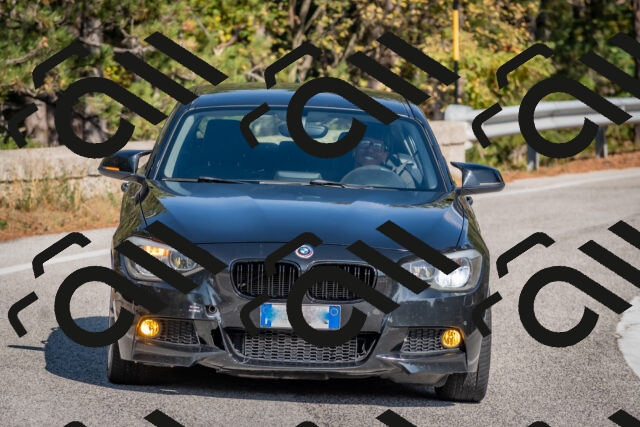 202510191251-DSC_7467_c4_