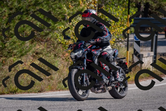 202510191251-DSC_7476_c4_