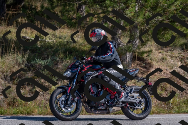 202510191251-DSC_7477_c4_