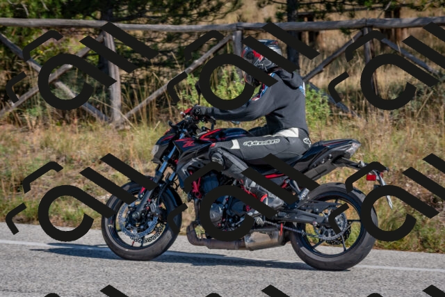 202510191251-DSC_7478_c4_