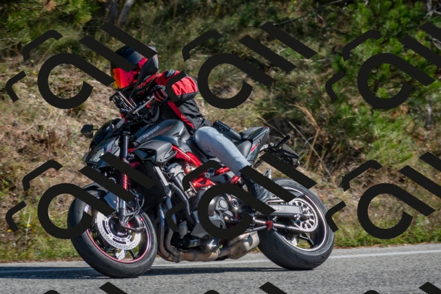 202510191251-DSC_7479_c4_