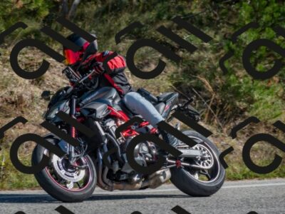 202510191251-DSC_7479_c4_