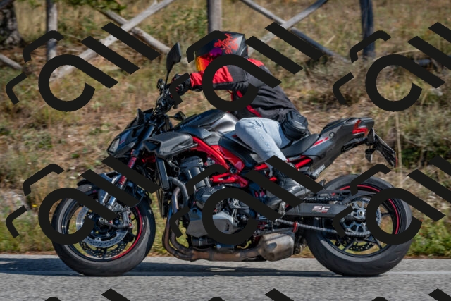 202510191251-DSC_7480_c4_