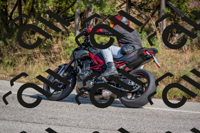 202510191251-DSC_7481_c4_