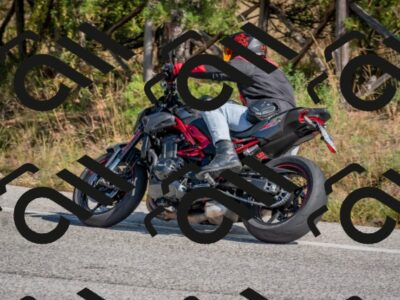 202510191251-DSC_7481_c4_