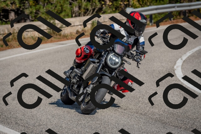 202510191251-DSC_7482_c4_