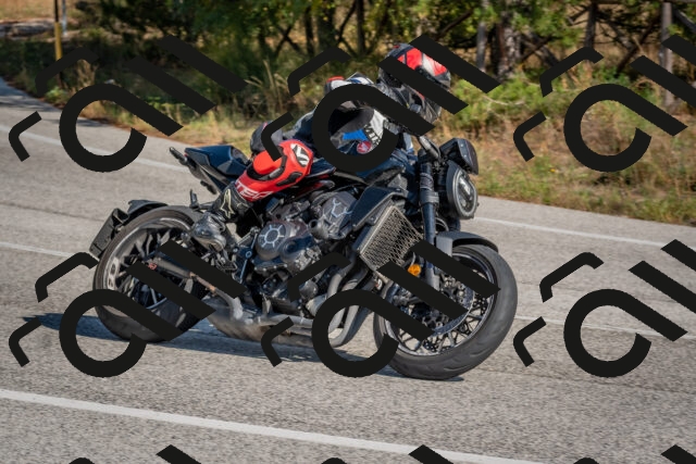 202510191251-DSC_7483_c4_