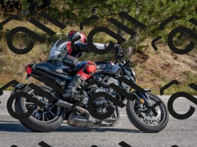 202510191251-DSC_7484_c4_