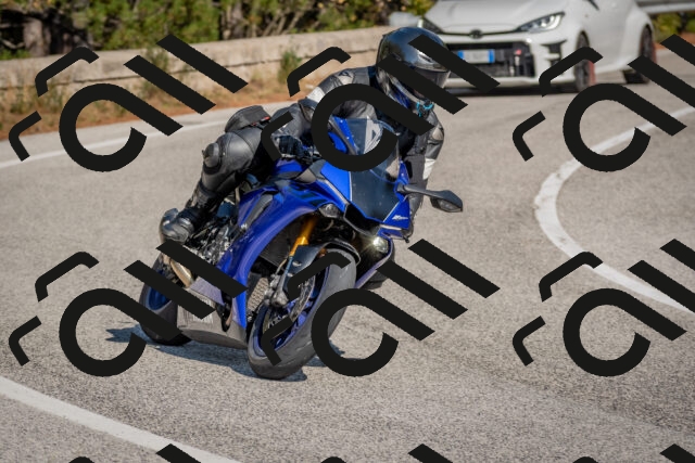 202510191252-DSC_7487_c4_