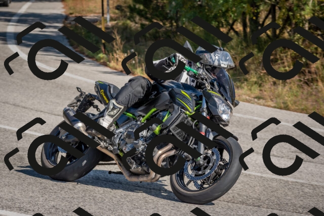 202510191253-DSC_7491_c4_