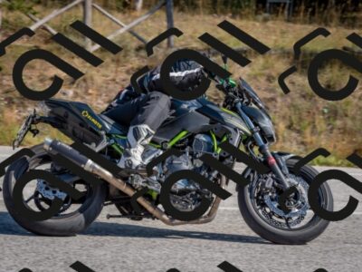 202510191253-DSC_7492_c4_