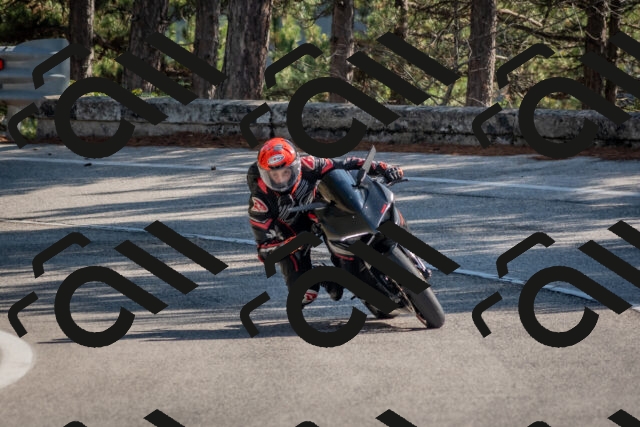 202510191254-DSC_7494_c4_