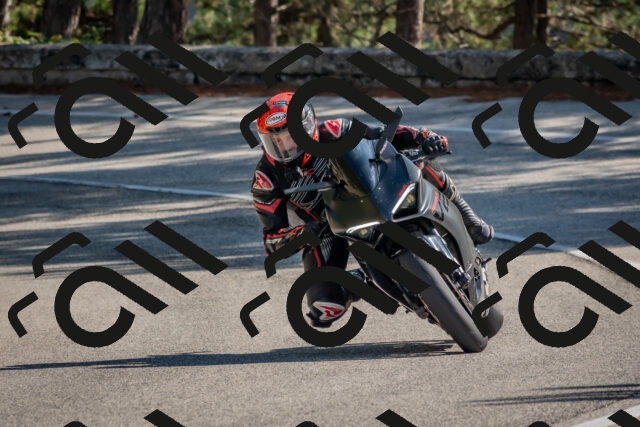 202510191254-DSC_7495_c4_