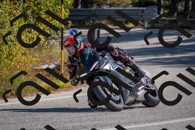 202510191254-DSC_7496_c4_