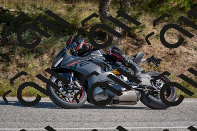 202510191254-DSC_7497_c4_