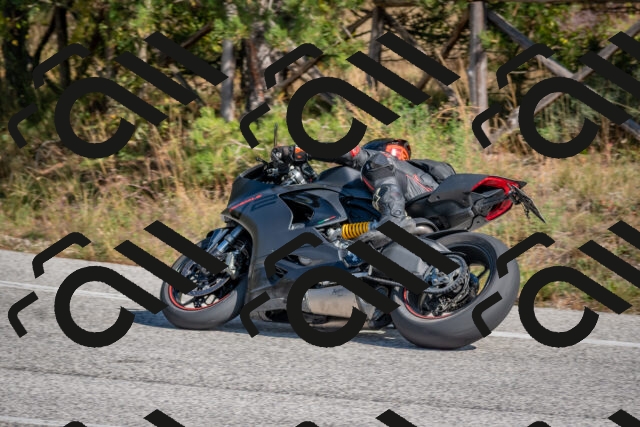 202510191254-DSC_7498_c4_