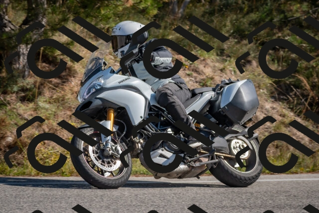 202510191255-DSC_7503_c4_