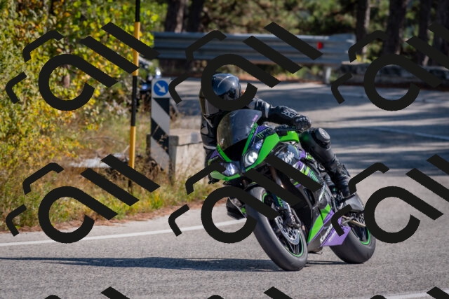 202510191255-DSC_7507_c4_