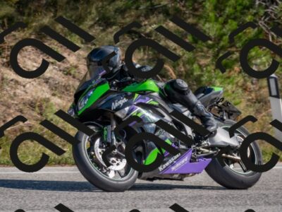 202510191255-DSC_7508_c4_