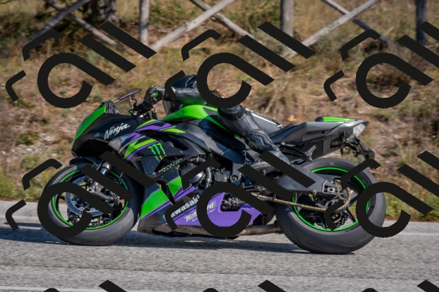 202510191255-DSC_7509_c4_