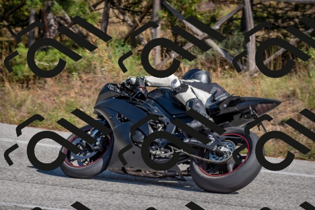 202510191255-DSC_7512_c4_