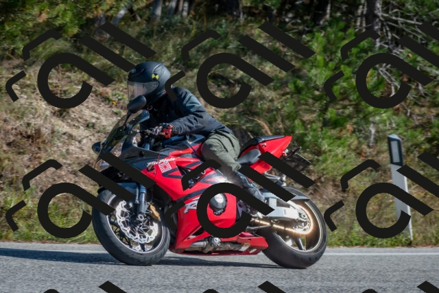 202510191255-DSC_7519_c4_