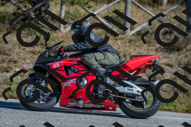 202510191255-DSC_7520_c4_