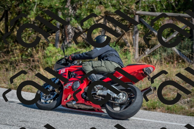 202510191255-DSC_7521_c4_