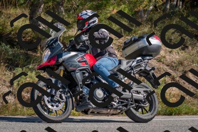 202510191255-DSC_7522_c4_