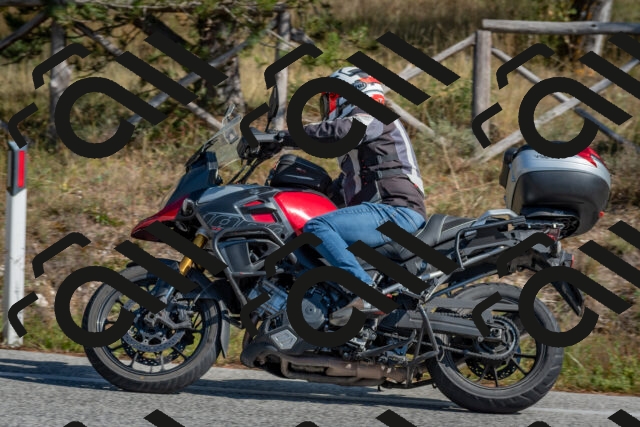 202510191255-DSC_7523_c4_