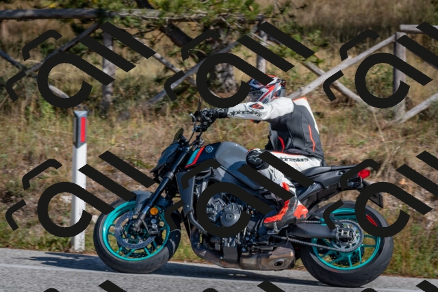 202510191255-DSC_7527_c4_