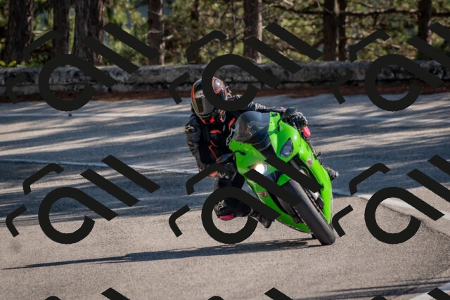 202510191257-DSC_7531_c4_