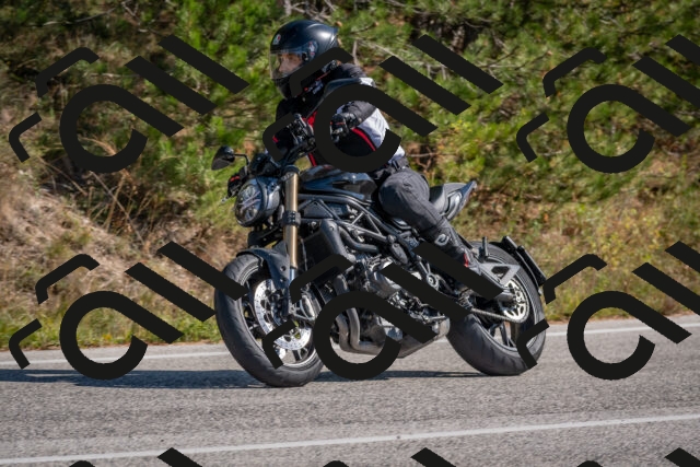 202510191258-DSC_7536_c4_