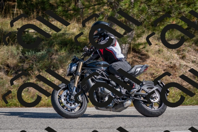 202510191258-DSC_7537_c4_