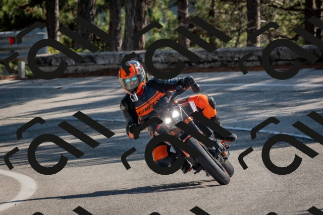 202510191258-DSC_7541_c4_