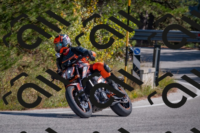 202510191258-DSC_7542_c4_