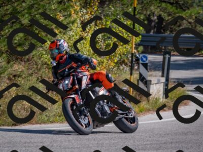 202510191258-DSC_7542_c4_