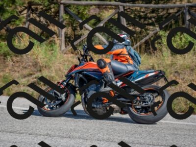 202510191258-DSC_7544_c4_