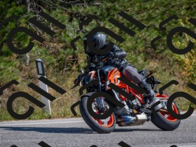 202510191258-DSC_7545_c4_