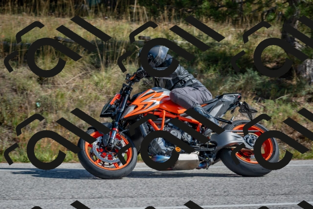 202510191259-DSC_7546_c4_