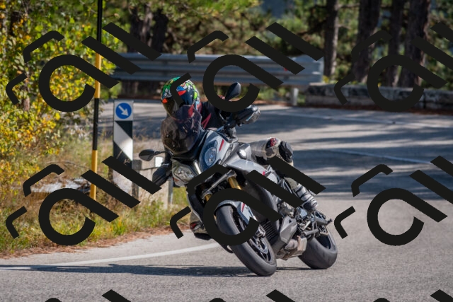 202510191259-DSC_7552_c4_