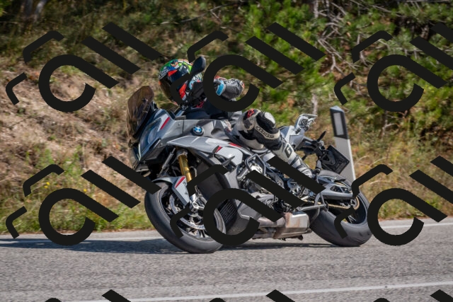 202510191259-DSC_7553_c4_