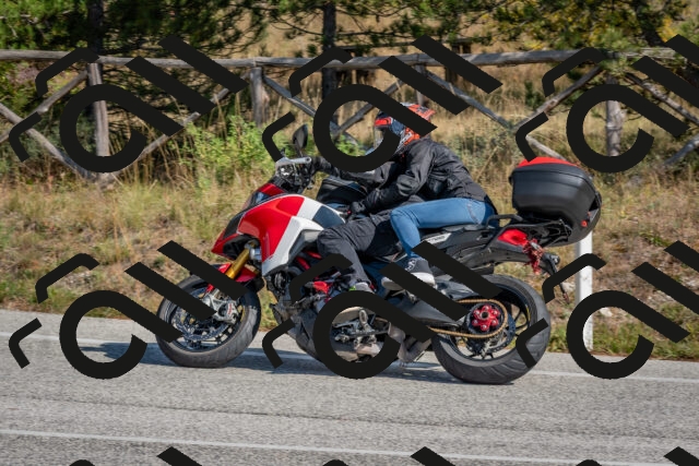 202510191259-DSC_7559_c4_