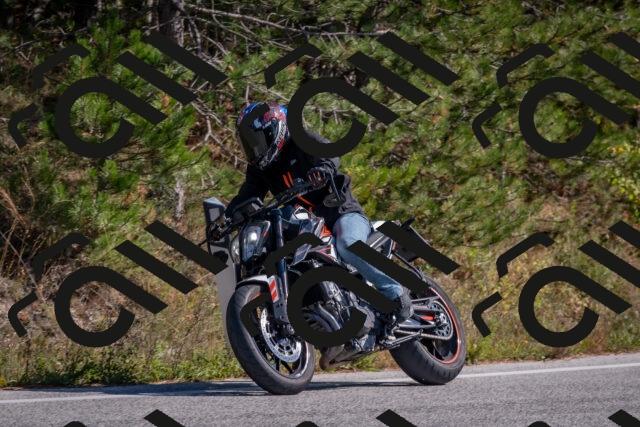 202510191300-DSC_7561_c4_