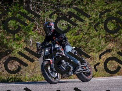 202510191300-DSC_7561_c4_