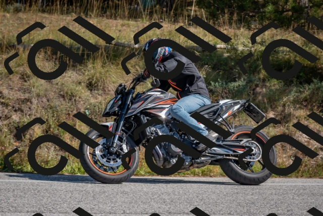 202510191300-DSC_7562_c4_