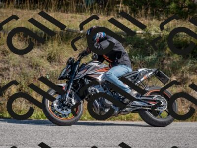 202510191300-DSC_7562_c4_