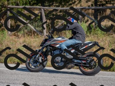 202510191300-DSC_7563_c4_