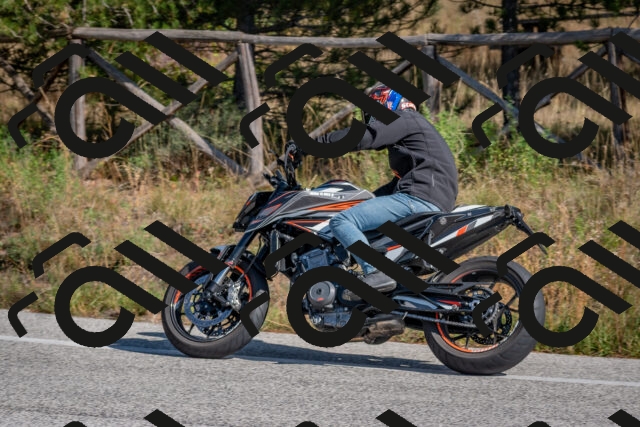 202510191300-DSC_7563_c4_